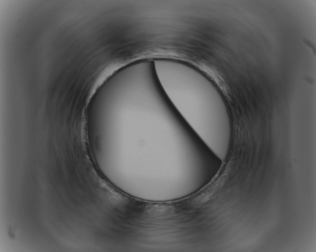 X0000091961374200709061051