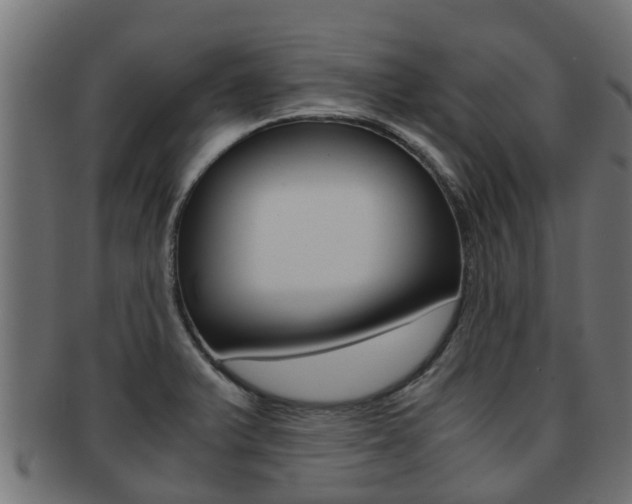 X0000091961375200709061051