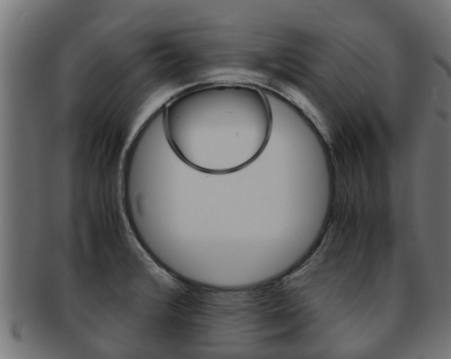 X0000091961376200709061051