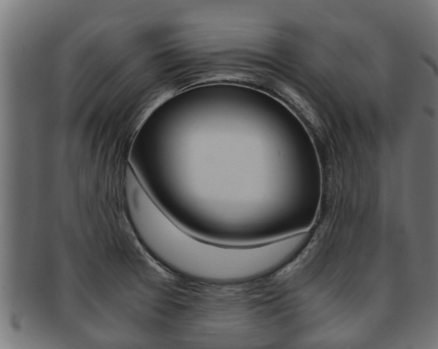 X0000091961377200709061051