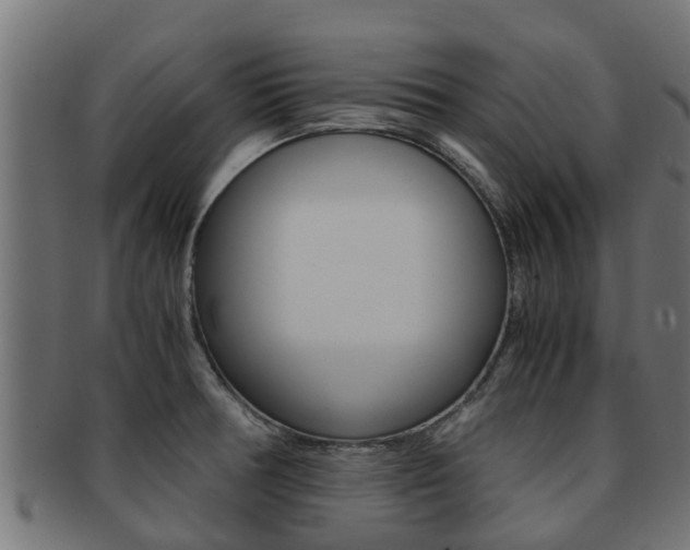 X0000091961378200709061051