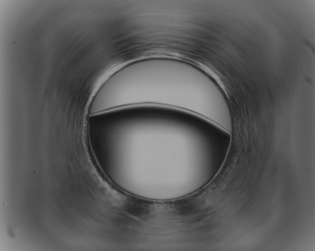 X0000091961379200709061051