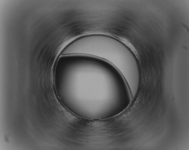 X0000091961380200709061051