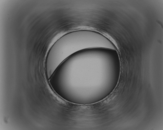 X0000091961381200709061051