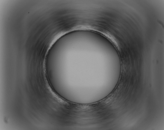 X0000091961382200709061051