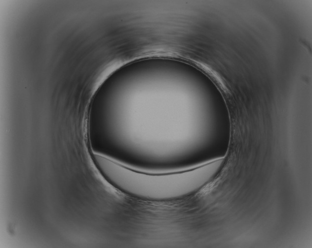 X0000091961383200709061051
