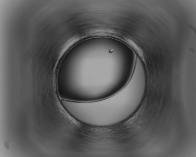 X0000091961384200709061051