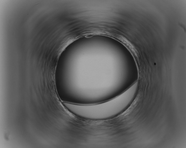 X0000091961385200709061051