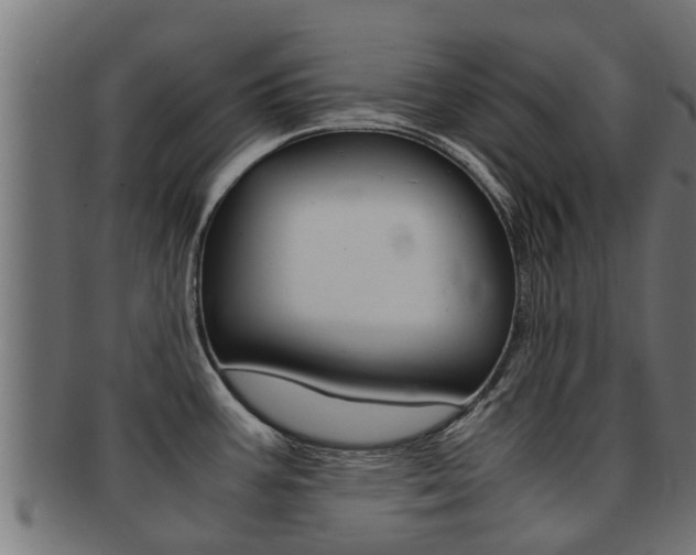 X0000091961387200709061051