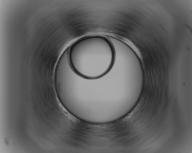 X0000091961388200709061051