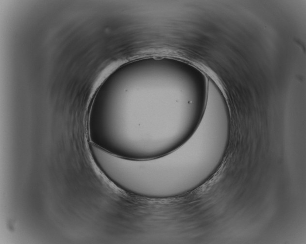 X0000091961389200709061051
