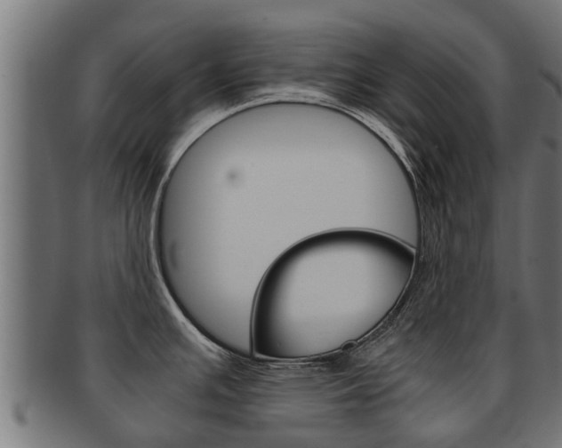 X0000091961391200709061051
