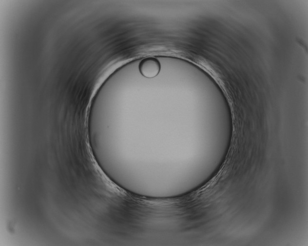 X0000091961392200709061051