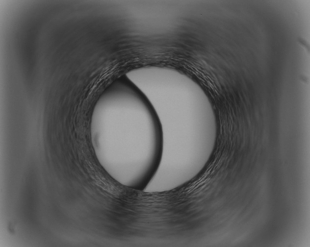X0000091961393200709061050