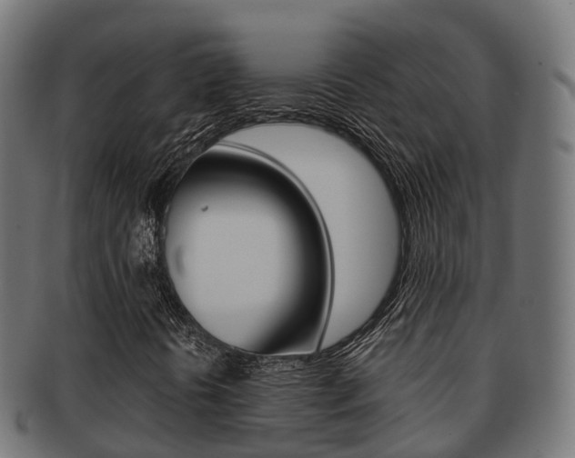 X0000091961394200709061050