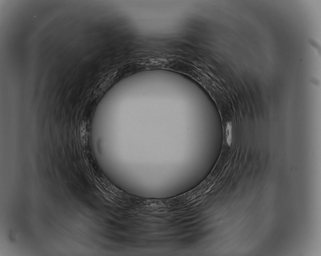 X0000091961395200709061050