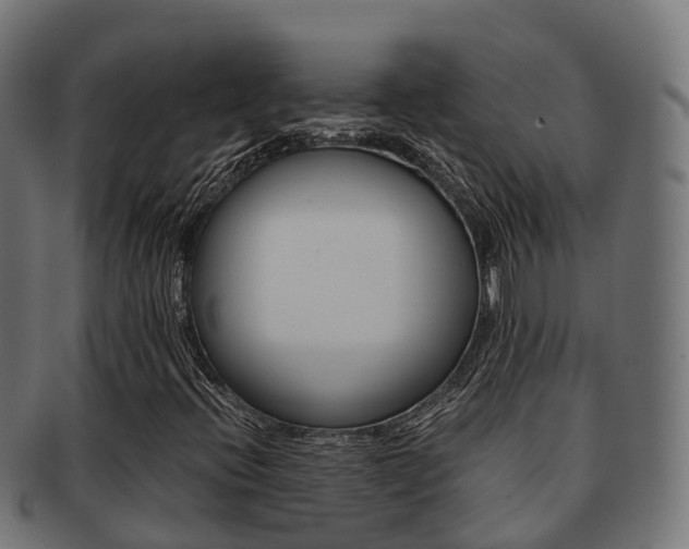 X0000091961396200709061050