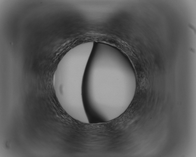 X0000091961397200709061050