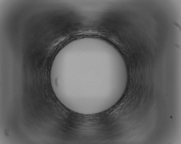 X0000091961398200709061050