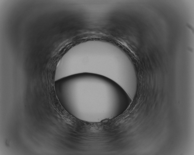 X0000091961399200709061050