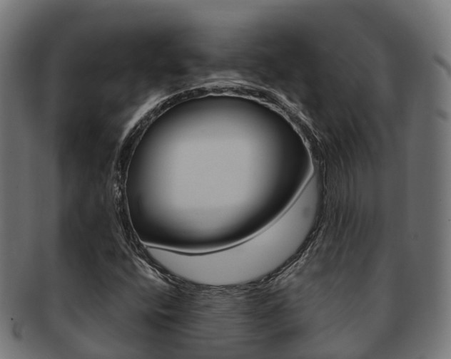 X0000091961400200709061050