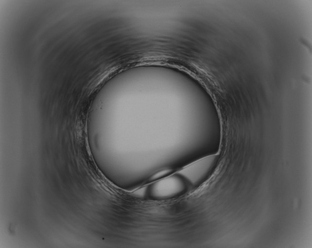 X0000091961401200709061050