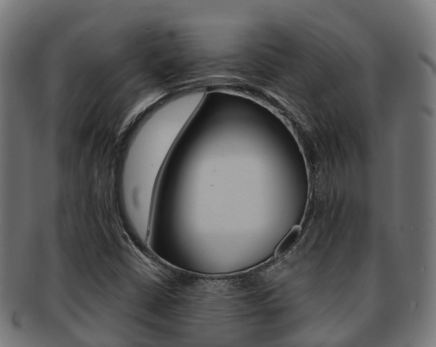 X0000091961402200709061050