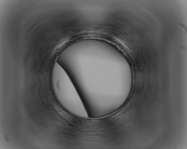 X0000091961403200709061050