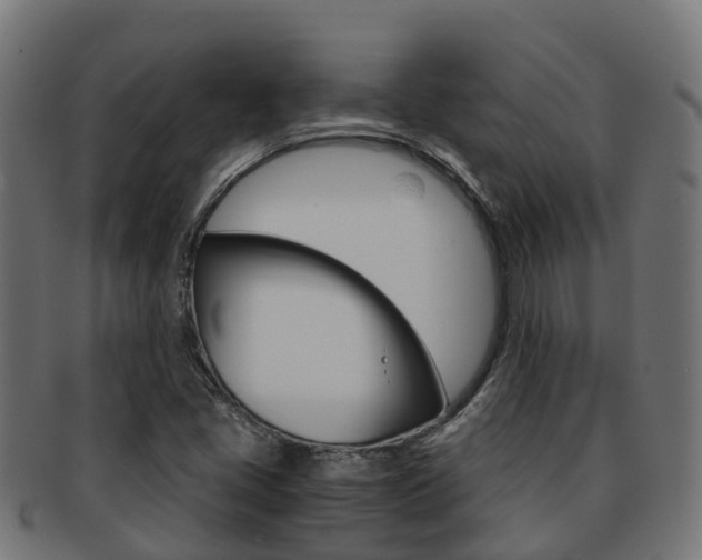 X0000091961405200709061050