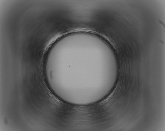 X0000091961406200709061050