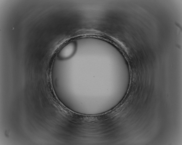 X0000091961407200709061050