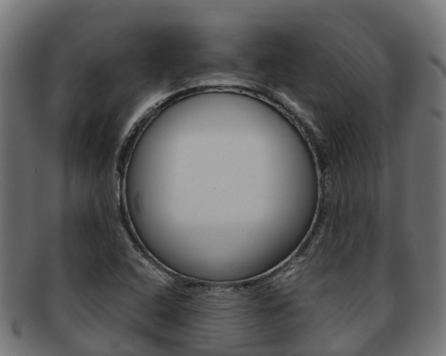 X0000091961408200709061050