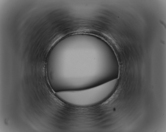 X0000091961409200709061050