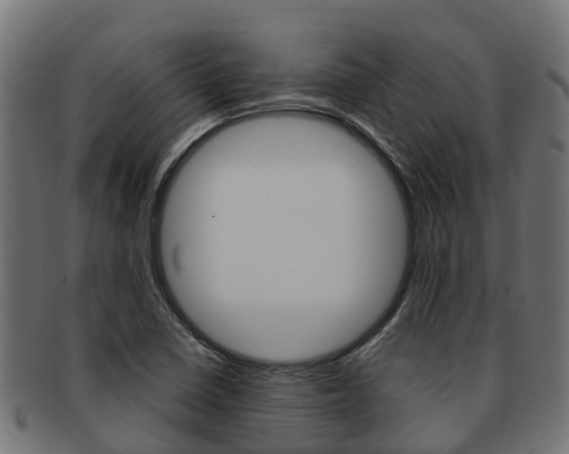 X0000091961410200709061050