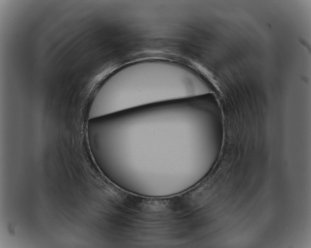 X0000091961411200709061050