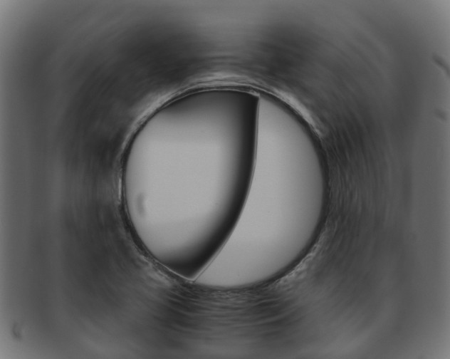 X0000091961413200709061050