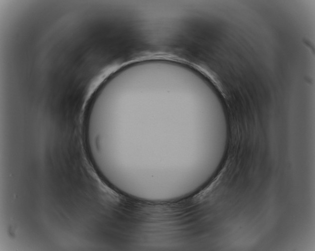 X0000091961414200709061050