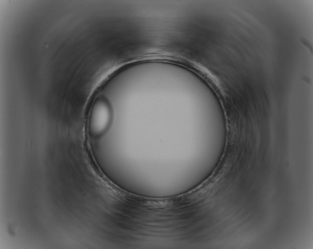 X0000091961415200709061050
