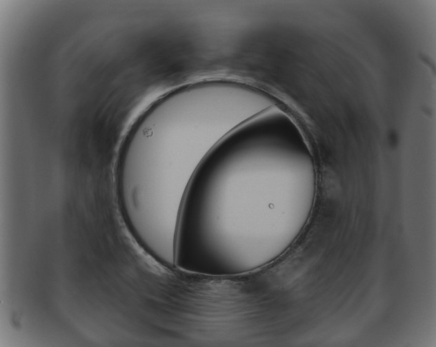 X0000091961416200709061050