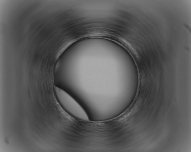 X0000091961417200709061050