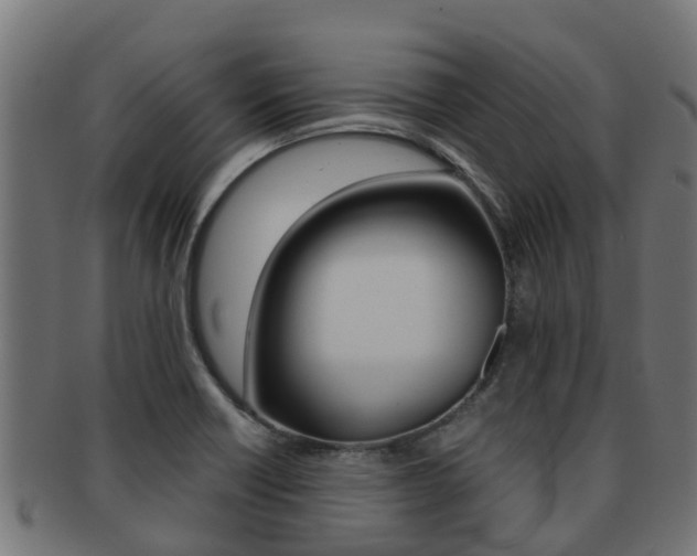 X0000091961418200709061050