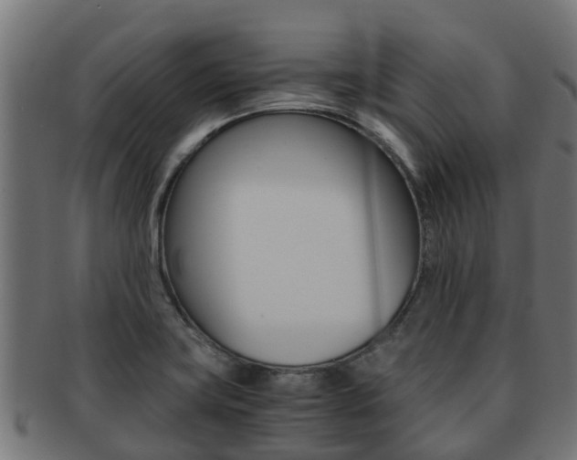 X0000091961419200709061050