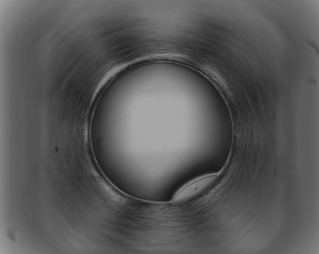 X0000091961420200709061050