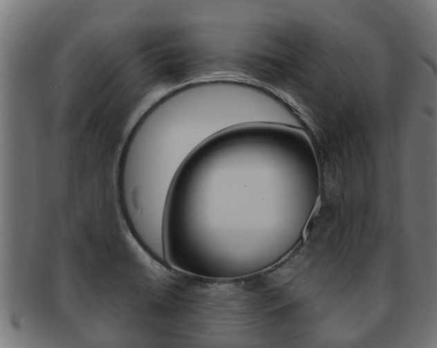 X0000091961422200709061050
