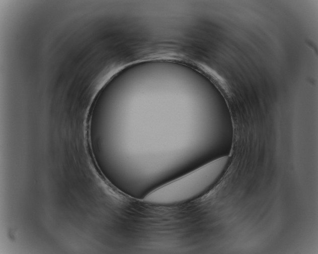 X0000091961423200709061050