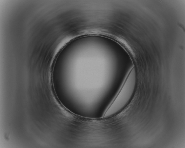 X0000091961424200709061050