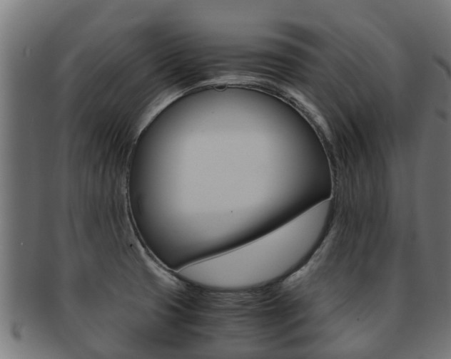X0000091961425200709061050