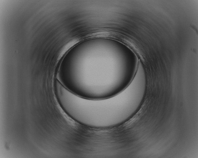 X0000091961426200709061050