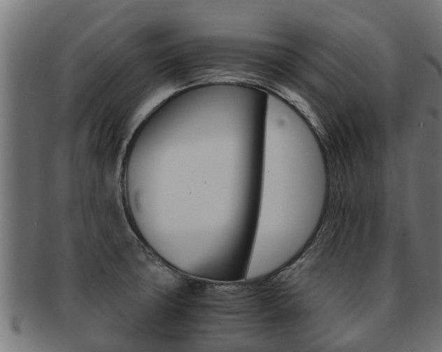 X0000091961427200709061050