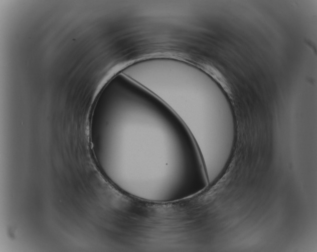 X0000091961428200709061050